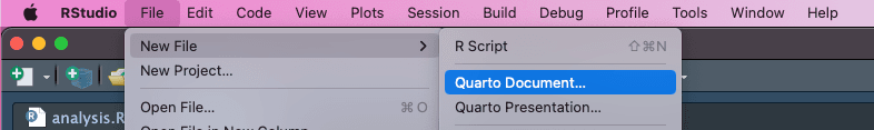 rstudio start new quarto doc path